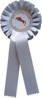 Preischleifen Paperlook  - 11137