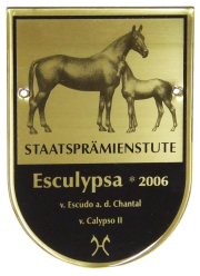 Sporthaus Verden - Staldplaketter - Esculypsa 2006