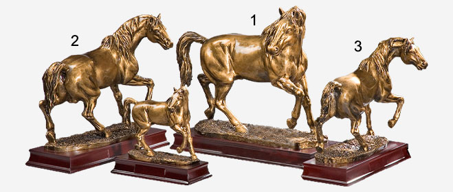Sporthaus Verden - Trophäe Hingste Sporthaus Verden - Trophäe Hingste