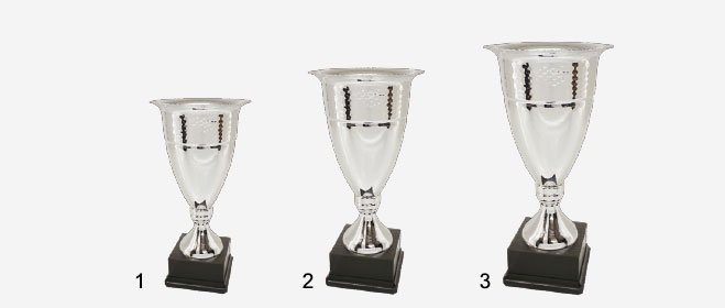 Sporthaus Verden - Pokalserie 19X7600 (mit Sockel aus Kirschholz) Sporthaus Verden - Pokalserie 19X7600 (mit Sockel aus Kirschholz)